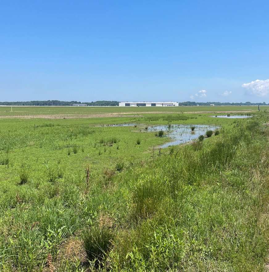 Grassy swale beside the airfield, where the stormwater work reduces standing water.